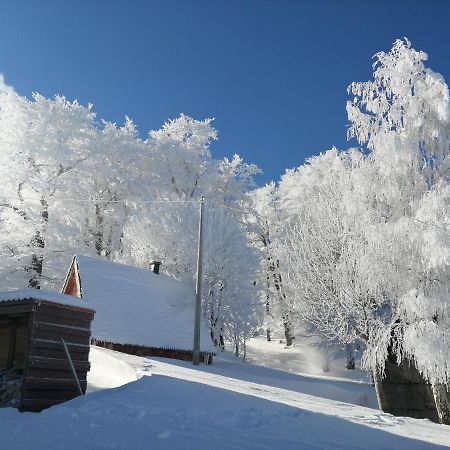 Mountain Village Zabljak  Ngoại thất bức ảnh