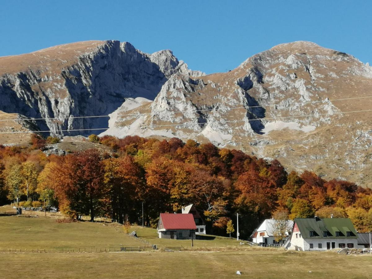 Mountain Village Zabljak  Ngoại thất bức ảnh